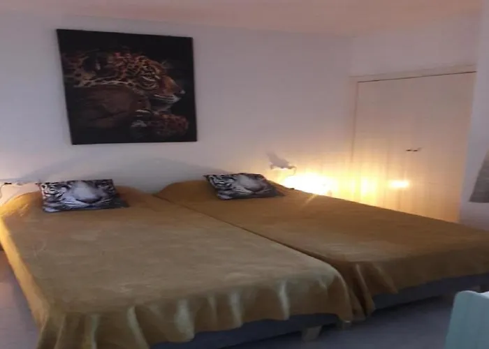 Διαμέρισμα Equipe Espagne 4 Couchages, Terrasse, Piscines, Climatisation, Garage, Wifi Gratuit *